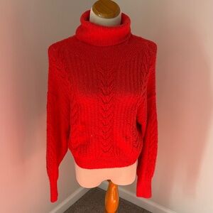 wild fable Red Cable-Knit Turtleneck Sweater